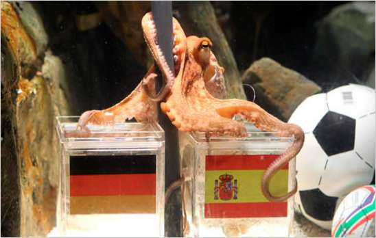 Muere el pulpo Paul famoso durante el Mundial Sud�frica 2010